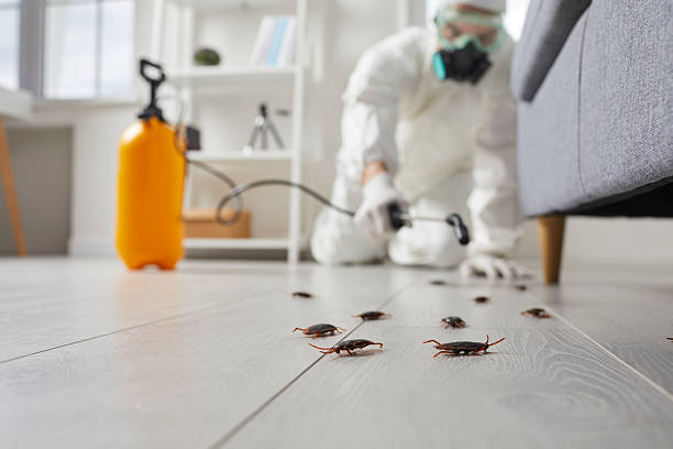 Commercial Kitchen Cockroach Control in Key West